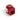 ESTJACLEV61110RC6 61110-RC6 Jack UTP Cat 6 rojo